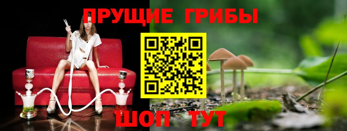 Фролово  Псилоцибиновые грибы прущие грибы  магазин продажи   Вход с VPN 